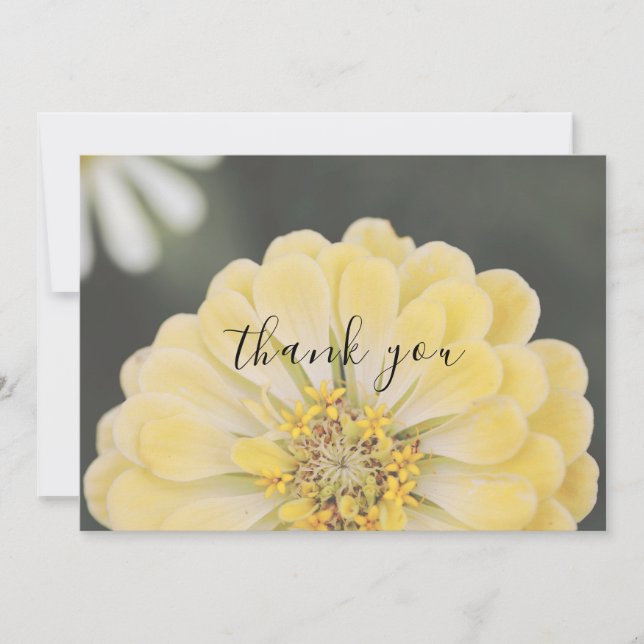 Cartões de agradecimentos Floral Floral Flor Amare (Frente)