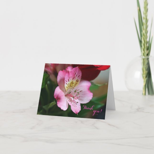 Cartões de agradecimentos Hermoso (Frente)