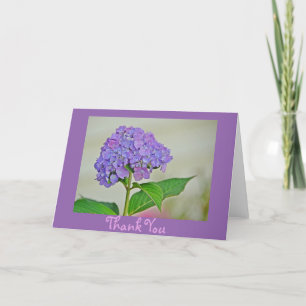 Cartões de agradecimentos Hydrangea