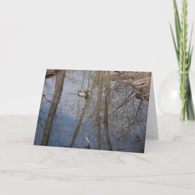 cartões de agradecimentos "Hyland Lake Mallard #1" (Frente)