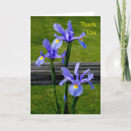Cartões de agradecimentos Iris