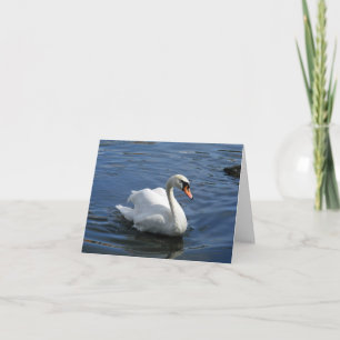 Cartões de agradecimentos natural