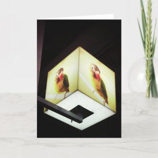 cartões de agradecimentos "Papagaio Numerário Leve