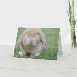 Cartões de agradecimentos páscoa