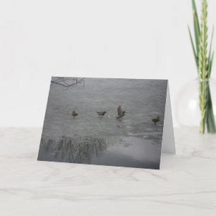 cartões de agradecimentos "Patos no Gelo"