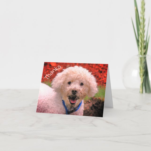 Cartões de agradecimentos Personalizável de Poodle (Frente)
