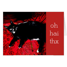 Cartões de agradecimentos Personalizável Hai Thx