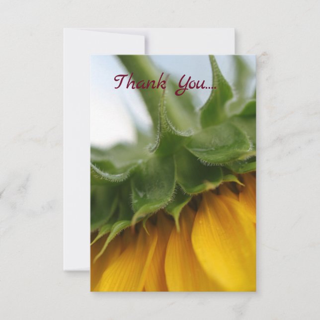 Cartões de agradecimentos Plana de Girassol Amarel (Frente)