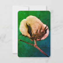 Cartões de agradecimentos plano