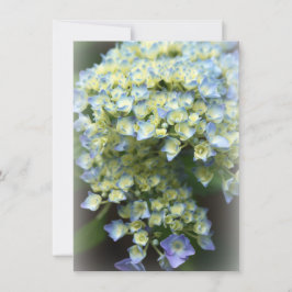 Cartões de agradecimentos plano da ventoinha azul