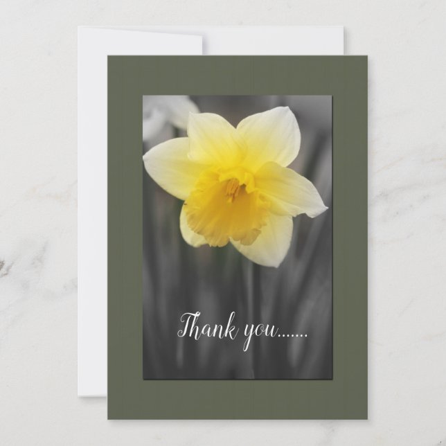 Cartões de agradecimentos plano Daffodil amarelo (Frente)