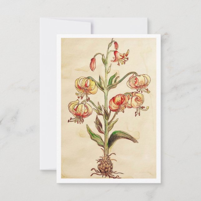 cartões de agradecimentos plano de 3,5" x 5" (Frente)