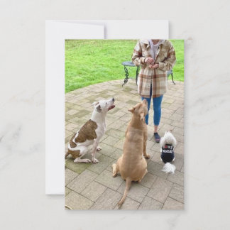 cartões de agradecimentos plano de 3,5" x 5"