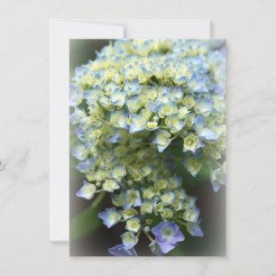 Cartões de agradecimentos plano de flores azuis