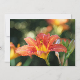 Cartões de agradecimentos plano de flores diurnas