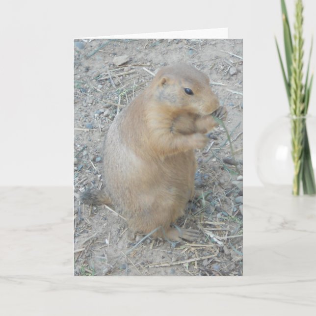 cartões de agradecimentos "Prairie Dog #1" (Frente)