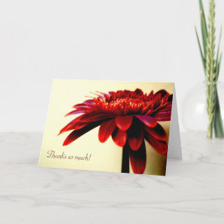 Cartões de agradecimentos Red Gerbera