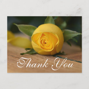 Cartões de agradecimentos Rosa Amarelo Script