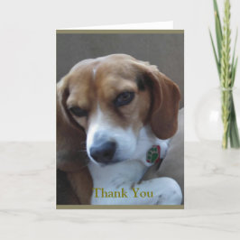Cartões de agradecimentos "Sunny" do Beagle resgat