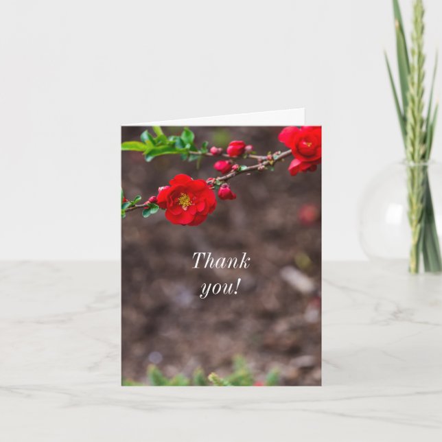 Cartões de agradecimentos superior (Frente)