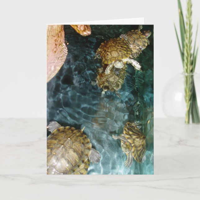 cartões de agradecimentos "Tartarugas Nadadoras" (Frente)