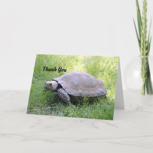Cartões de agradecimentos Tortoise Castanho (Frente)