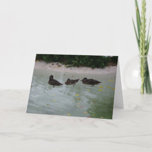 cartões de agradecimentos "Três Patos"