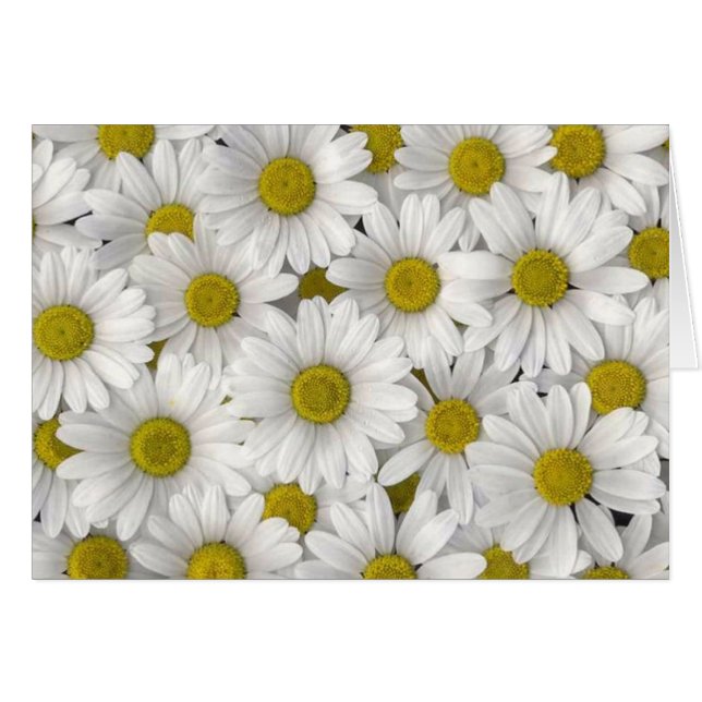 Cartões de aniversário (Frente Horizontal)