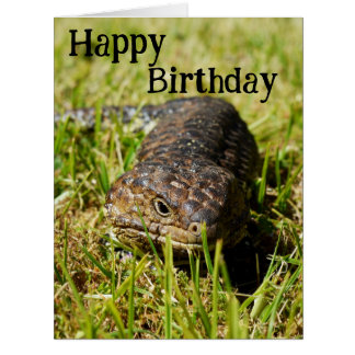Cartões de aniversário da australiana Blue Tongue