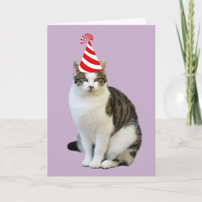CARTÕES DE ANIVERSÁRIO DE FOTOS DE GATO (Frente)