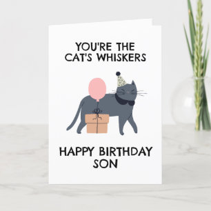 cartões de aniversário de gatinhos engraçados