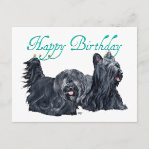Cartões de Aniversário de Skye Terrier