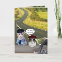 Cartões de Aniversário Engraçado para Gatos/Gatinh