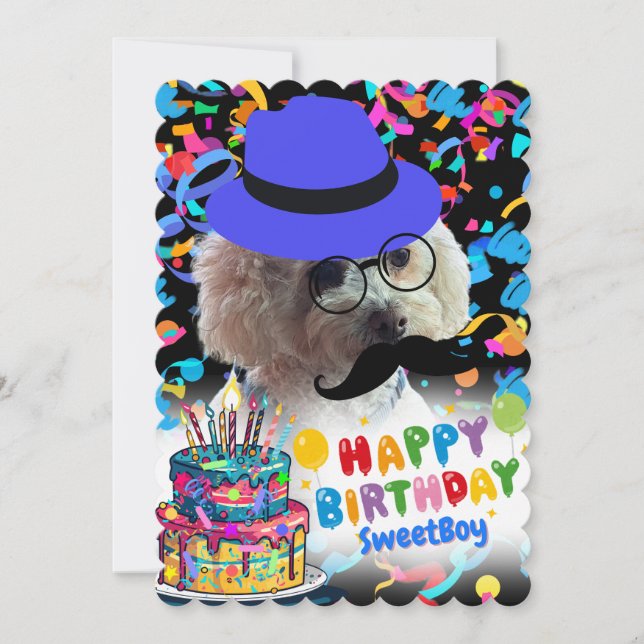 Cartões de Aniversário Feliz Poodle para Celebrar (Frente)