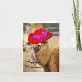 Cartões de aniversário felizes do Alpaca