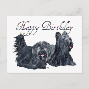 Cartões de Aniversário para Skye Terrier