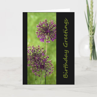 Cartões de aniversários