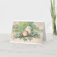 Cartões de aniversários de Gato de Gato