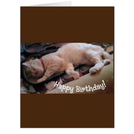 Cartões de aniversários Gengibes De Músico Sonolen