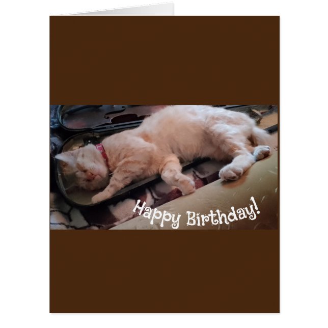 Cartões de aniversários Gengibes De Músico Sonolen (Frente)