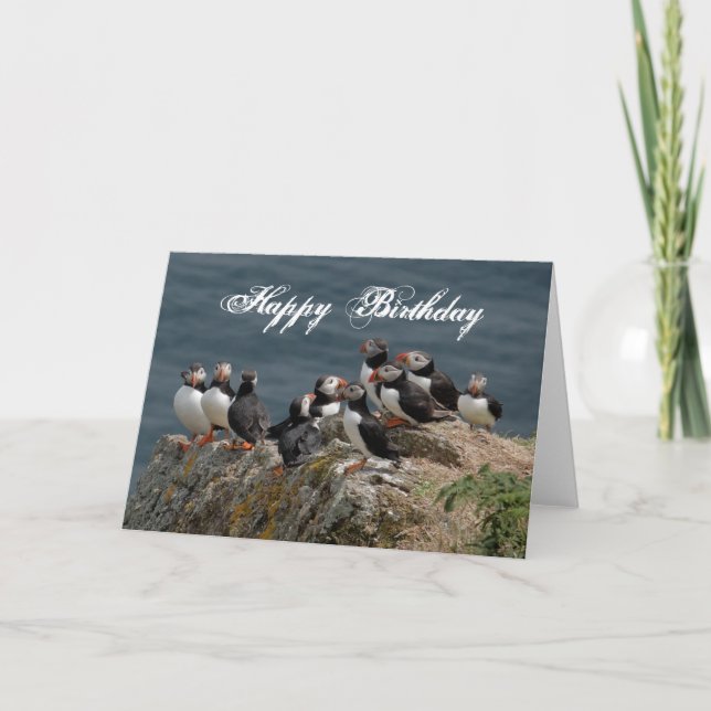 Cartões de aniversários Puffin (Frente)