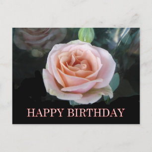 Cartões de aniversários rosa rosa rosa