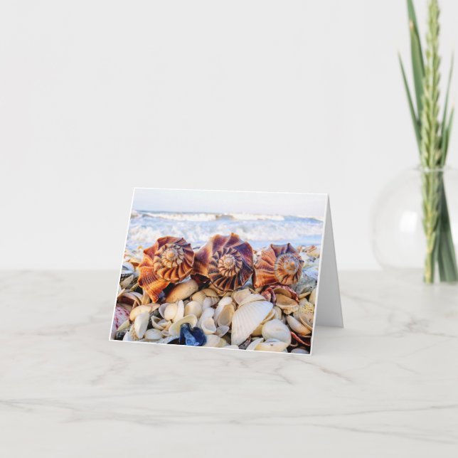 Cartões de anotações relâmpagos (Frente)