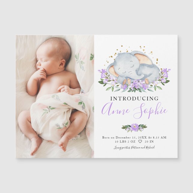 Cartões de Anúncio de Foto de Elefante Bonito (Frente)