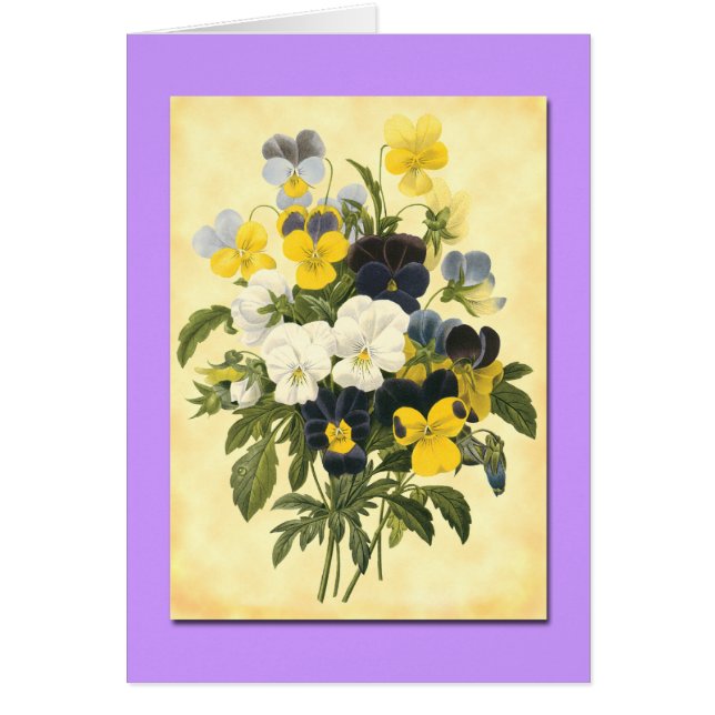 Cartões de Arte Botânica Vazio Pansy Violets (Frente)