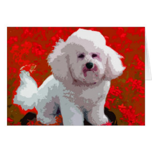 Cartões de Arte Pop do Bichon Frise