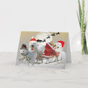 Cartões de cama para amigos samoiados