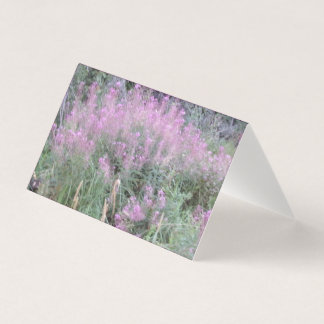 Cartões de Carta em Branco de Flora de Lavanda Sel