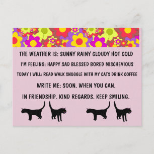 CARTÕES DE CARTÕES DE GATO DE ESCOLHA MÚLTIPLA 