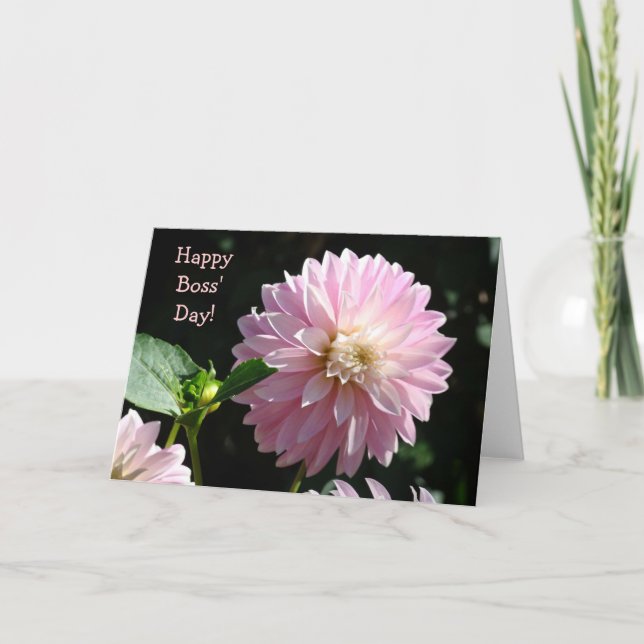 Cartões de Chefes Flores de Dahlia Rosa Feliz Dia  (Frente)